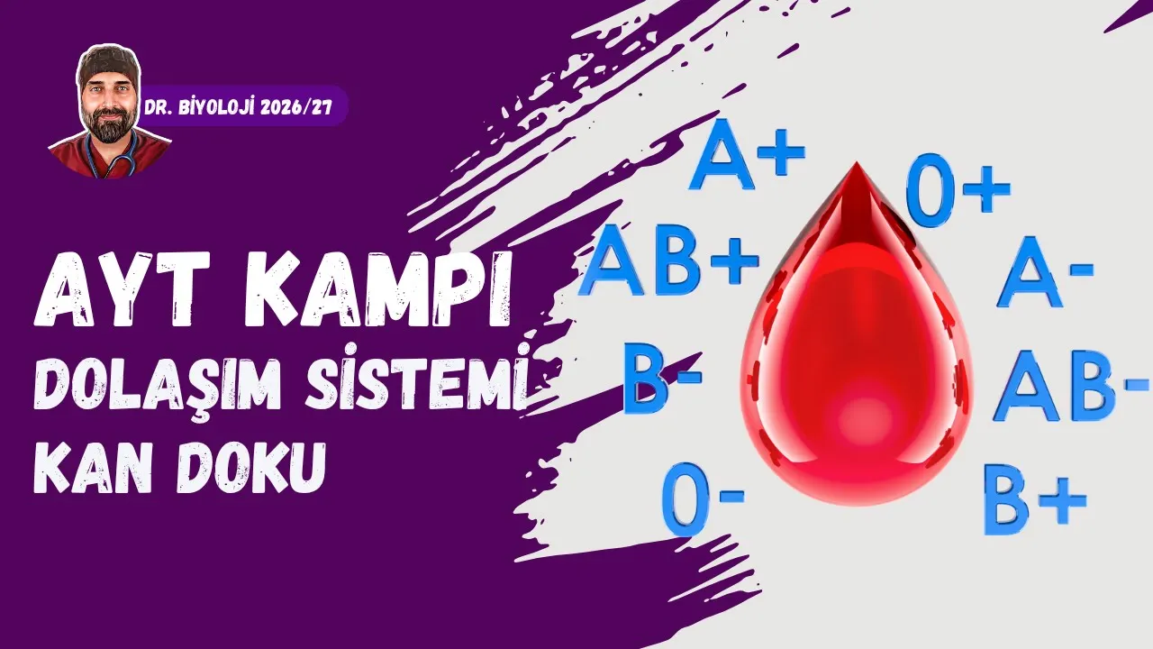 Dolaşım Sistemi Kan Doku | Dr. Biyoloji | AYT Dönem 2026 - 2027