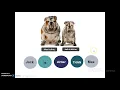 Level 3 Unit 5 Lesson 2