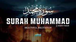 تلاوت صمیمانه قرآن سوره محمد توسط شیخ مسعود در تیلاوه 