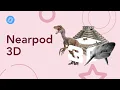 Nearpod 3D