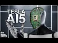 Tesla Reveals Major New Optimus Robot Update