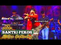 Lagu Niken Salindry - Santri Pekok | GARAGA MUSIC TERBARU