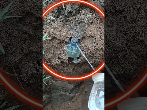 Encontré un Brainrot de megamente en la piscina abandonada de la mansión #tesoros #piscinas