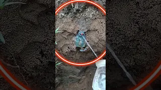 Encontré un Brainrot de megamente en la piscina abandonada de la mansión #tesoros #piscinas