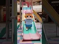 Download Lagu pok ame ame belakang kupu kupu #cat #kucing #kucinglucu #fypshorts #fypシ゚viral