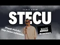 Faris Adam - STECU STECU (Setelan Cuek) [DJ Sukat JR \u0026 Phonk Maluku Remix] Slap House 2025