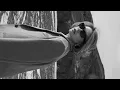 Delerium feat. Sarah McLachlan - Silence (Kryder Extended Remix)