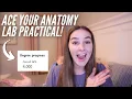 how to ACE your anatomy lab practical update