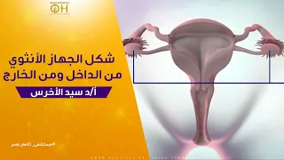 شكل الجهاز الأنثوي من الداخل ومن الخارج  شكل الجهاز الأنثوي من الداخل ومن الخارج