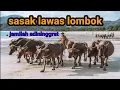 Download Lagu Lagu Sasak Lawas Lombok Thn 90an Mp3 .
