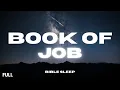 Download Lagu Full Book of Job for Sleep with Gentle Rain Sounds | Peaceful Bible Reading \u0026 Relaxation