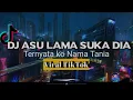 Download Lagu DJ ASU LAMA SUKA DIA || DJ TANIA VIRAL TIKTOK