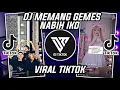 Download Lagu DJ MEMANG GEMES NABIH IKO RISKI.SZ VIRAL TIKTOK 2022
