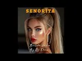 Tiago PZK - Señorita - Bachata Version by Dj Dorin
