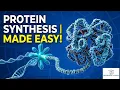 Protein Synthesis Explained Protein Synthesis Made Easy DNA to Protein Explained in Minutes