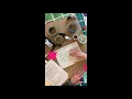 Sticky Molecules Lab Mar 20