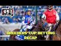Breeders Cup 2025 Recap The Betting Prospective