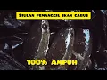Download Lagu siulan pemanggil ikan gabus ke permukaan ‼️ #skbr #paserikan #siulanikangabus