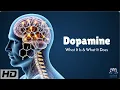 Download Lagu Dopamine Explained: How It Controls Your Brain's Reward System!