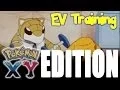 How to EV Train your Pokemon in X Y - Tamashii Hiroka