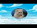 Sonar con gatos Misabueso com