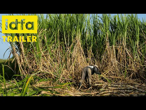 IDFA 2021 | Trailer | Words of Negroes