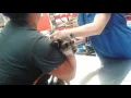 Lulu getting vaccinated at Petco 16