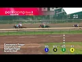 Race 26