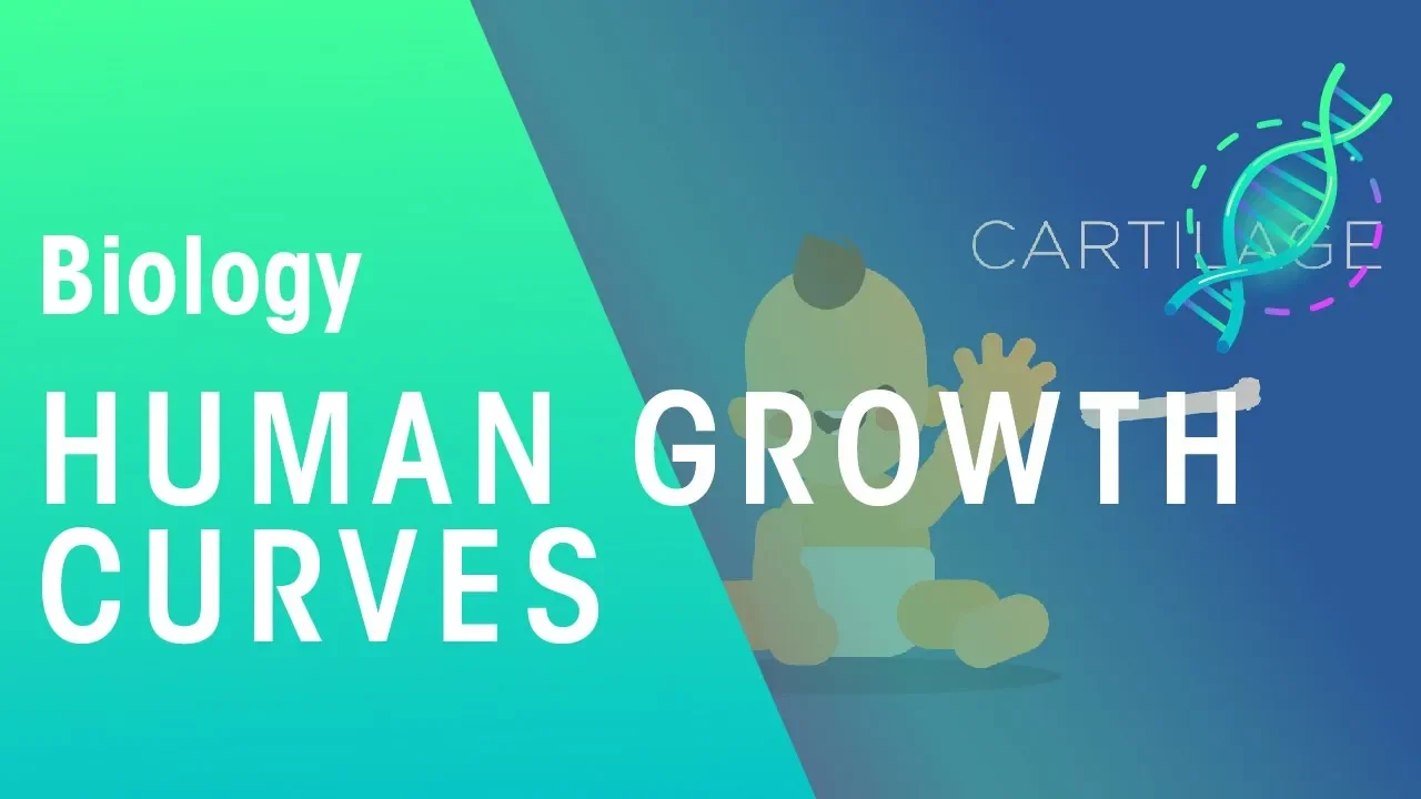 Human growth curves | Physiology | Biology | FuseSchool
