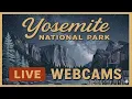 Yosemite Live Webcams Half Dome El Capitan High Sierra Glacier Point Relaxing Nature Escape