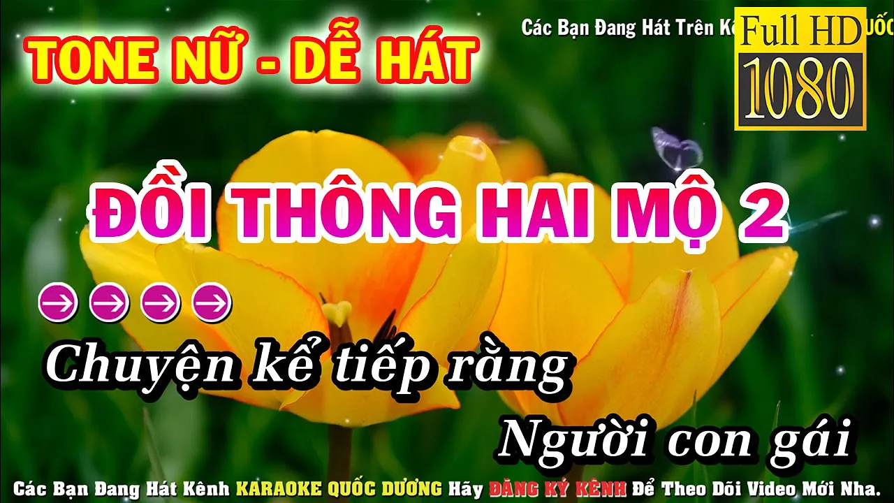 ĐỒI THÔNG HAI MỘ 2 KARAOKE TONE NỮ - PHỐI MỚI DỄ HÁT