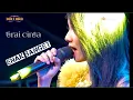 Download Lagu lala widy terbaru TIRAI CINTA new pallapa