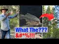 Download Lagu Why Are These %#!?* Fish In My Forest???