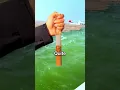 Why Pacific and Atlantic Don t Mix