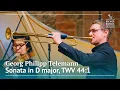 Download Lagu G. Ph. Telemann: Sonata in D major, TWV 44:1 – Bremer Barockorchester