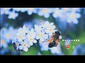Download Lagu 🐝New TikTok Ringtone-Love Ringtone-Famous Ringtone-Instrumental Ringtone-TikTok Trending Video 2020