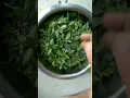 Download Lagu Harvesting and Making from Henna Tree Leaves#henna#mehndi#homemade#shorts#harvest#diy#trending#tree