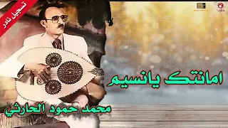 تسجيل نادر امانتك يانسيم   محمد حمود الحارثي دندنها