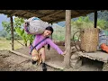 Lagu The lonely life of a young girl aged 17+, gardening, building a life | Hoang Thi Mai
