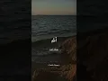 Download Lagu Surah Al-Jathiyah [45: 3-6] #quran #quranrecitation