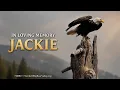 Remembering Jackie the Bald Eagle A Loving Tribute to Big Bear s Beloved Eagle