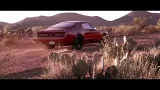 EQUUS Bass 770 Elegance Power
