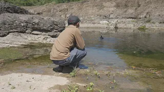 My bird friend catches fish.