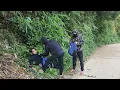 Download Lagu Poor girl Tieu Na was attacked by a snake, poor boy APAO was in danger and the truth behind