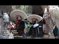 Leonardo Aguilar Pepe Aguilar - Bandido de Amores