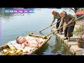 Download Lagu Đứa Bé Bị Bỏ Ở Nghĩa Trang Được Ông Bà Lão Nhặt Nuôi, Hóa Ra Là Con Gái Thất Lạc Của Gia Tộc Tỷ Đô