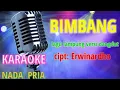 Download Lagu BIMBANG KARAOKE NADA PRIA/COWOK LAGU LAMPUNG-CIPT:ERWINARDHO-VOC :ZIA PAKU