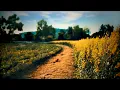Download Lagu Lazy Summer’s Day Ambience In An English Countryside Meadow | Relaxing Summertime Nature Sounds