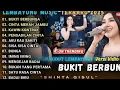 BUKIT BERBUNGA - CINTA MERAH JAMBU - LEMBAYUNG MUSIC FULL ALBUM TERBARU 2025