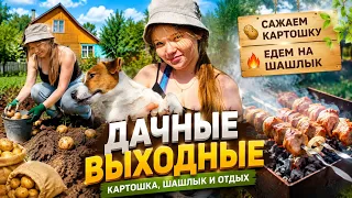УСТАЛИ на КАРТОШКЕ!😮 ПОЕХАЛИ на ШАШЛЫК😍 АЛТАЙ БЫЛ ПОМОШНИКОМ😊